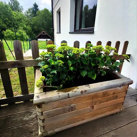 U Jany Lipno Nad Vltavou Lipenska Louka Lägenhet *