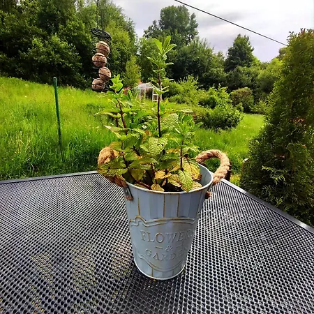 U Jany Lipno Nad Vltavou Lipenska Louka *