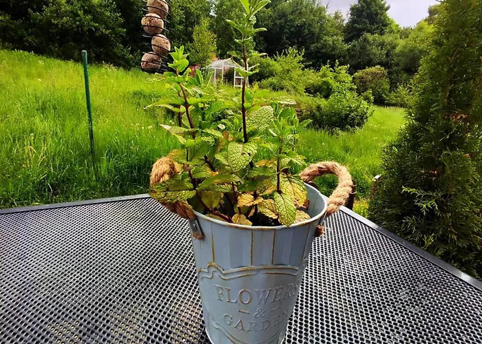 U Jany Lipno Nad Vltavou Lipenská Louka *